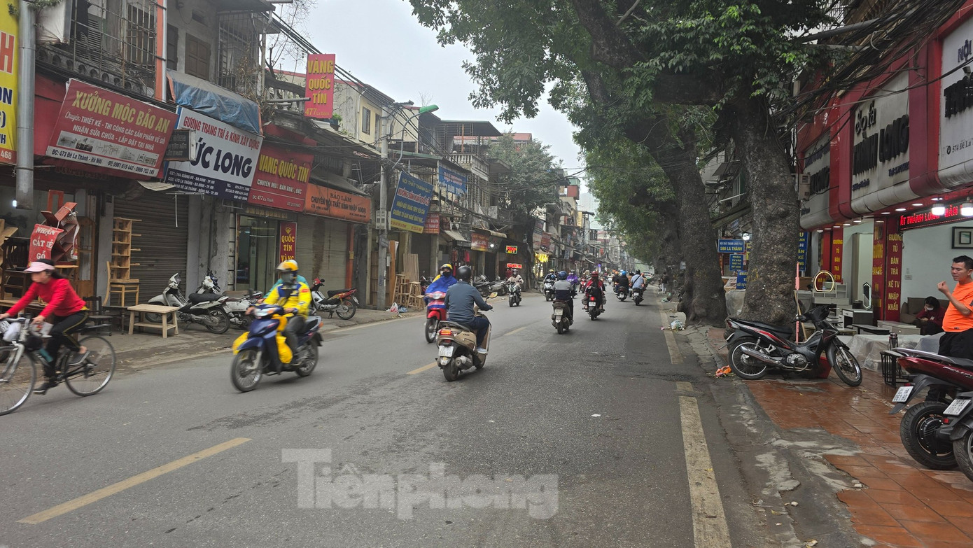 Chủ đầu tư sẽ di chuyển, chặt hạ 98 cây xanh để mở đường Vành đai 1 đoạn qua phường Ngọc Khánh