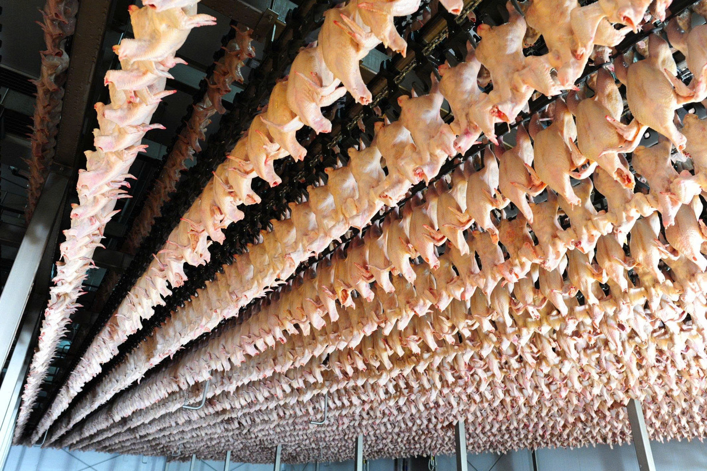 Dây chuyền công nghiệp bên trong Nhà máy chế biến sản phẩm thịt Hà Nội