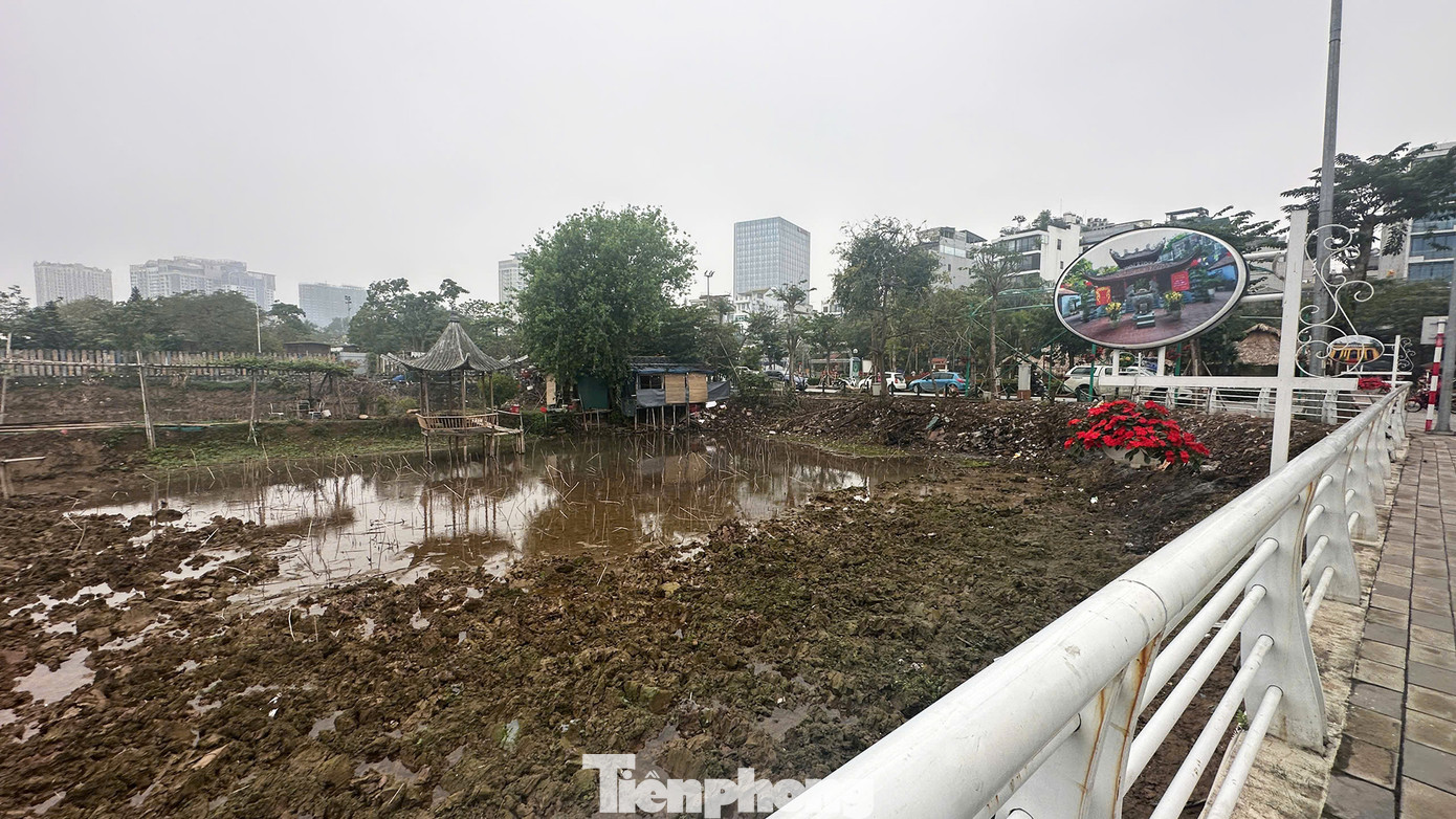 Đại diện UBND phường Nhật Tân cho biết, thông thường thời điểm này hồ Sen được rút cạn nước, đến tháng sau sẽ bơm lại để sen nở. Đại diện UBND phường Nhật Tân cho biết, thông thường thời điểm này hồ Sen được rút cạn nước, đến tháng sau sẽ bơm lại để sen nở.