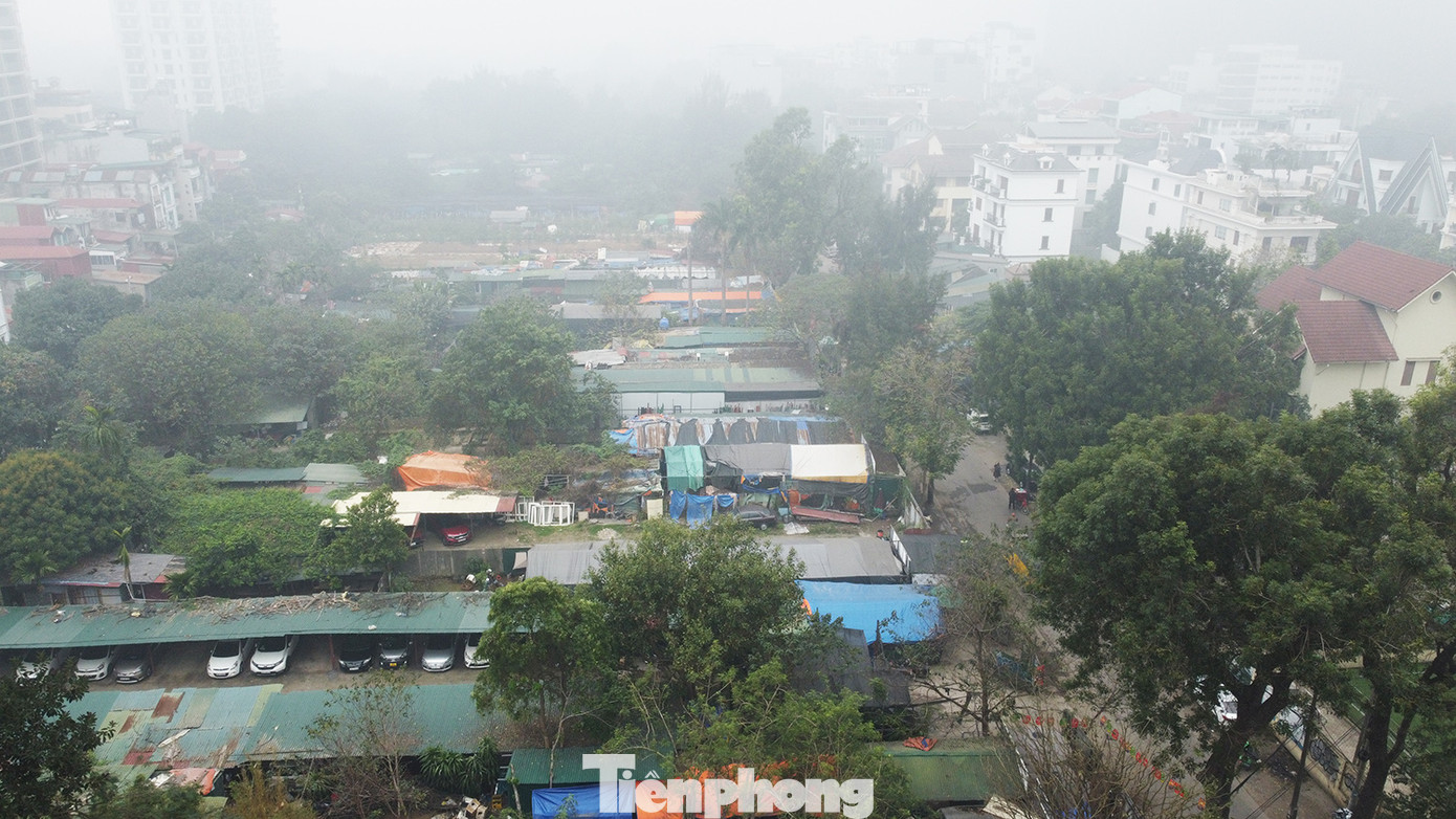 Tuyến đường là khung kết nối hạ tầng theo Đồ án Quy hoạch chi tiết khu vực trục không gian trung tâm bán đảo Quảng An, tỷ lệ 1/500 đã được UBND thành phố phê duyệt tại Quyết định số 6132/QĐ-UBND ngày 26/11/2024.