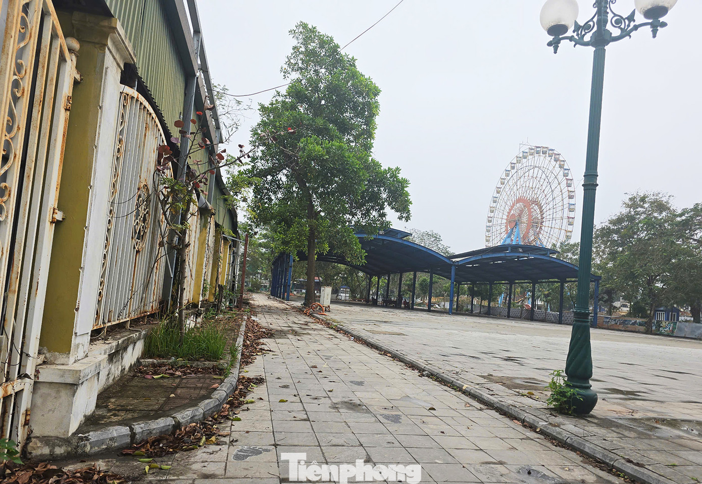 Theo thông tin từ đơn vị quản lý, vòng đu quay khổng lồ đã được đưa về sử dụng tại công viên Mặt trời mới hơn 10 năm. Song, tuổi thọ thực tế của vòng đu quay đã lên tới gần 20 năm, do trò chơi được mua hàng cũ từ Nhật Bản. Theo thông tin từ đơn vị quản lý, vòng đu quay khổng lồ đã được đưa về sử dụng tại công viên Mặt trời mới hơn 10 năm. Song, tuổi thọ thực tế của vòng đu quay đã lên tới gần 20 năm, do trò chơi được mua hàng cũ từ Nhật Bản.