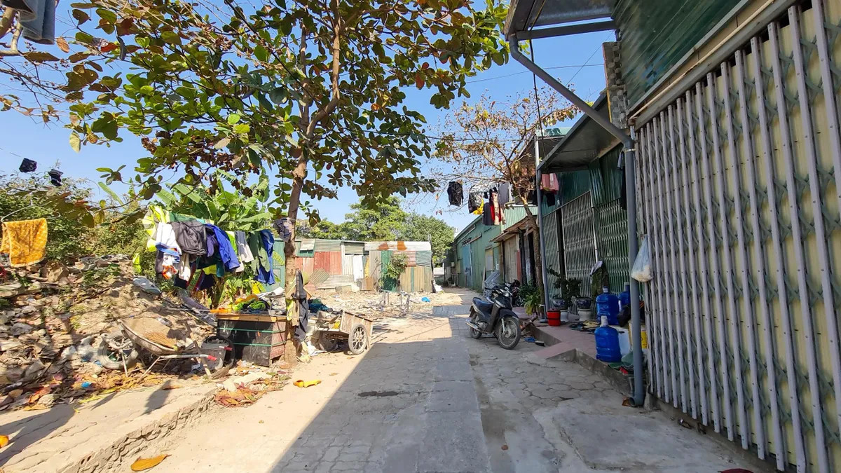 Liên quan đến các vi phạm xảy ra tại hồ Đầm Bông, ngày 27/2/2019, Sở Tài nguyên và Môi trường Hà Nội (nay là Sở Nông nghiệp và Môi trường) đã có Kết luận thanh tra số 333 nêu rõ, "có 80 trường hợp vi phạm tại hồ Đầm Bông". Cuối năm 2022, Bí thư Thành ủy, Chủ tịch UBND TP Hà Nội cũng đã có chỉ đạo xử lý nghiêm việc lấn chiếm hồ Đầm Bông. Liên quan đến các vi phạm xảy ra tại hồ Đầm Bông, ngày 27/2/2019, Sở Tài nguyên và Môi trường Hà Nội (nay là Sở Nông nghiệp và Môi trường) đã có Kết luận thanh tra số 333 nêu rõ, "có 80 trường hợp vi phạm tại hồ Đầm Bông". Cuối năm 2022, Bí thư Thành ủy, Chủ tịch UBND TP Hà Nội cũng đã có chỉ đạo xử lý nghiêm việc lấn chiếm hồ Đầm Bông.