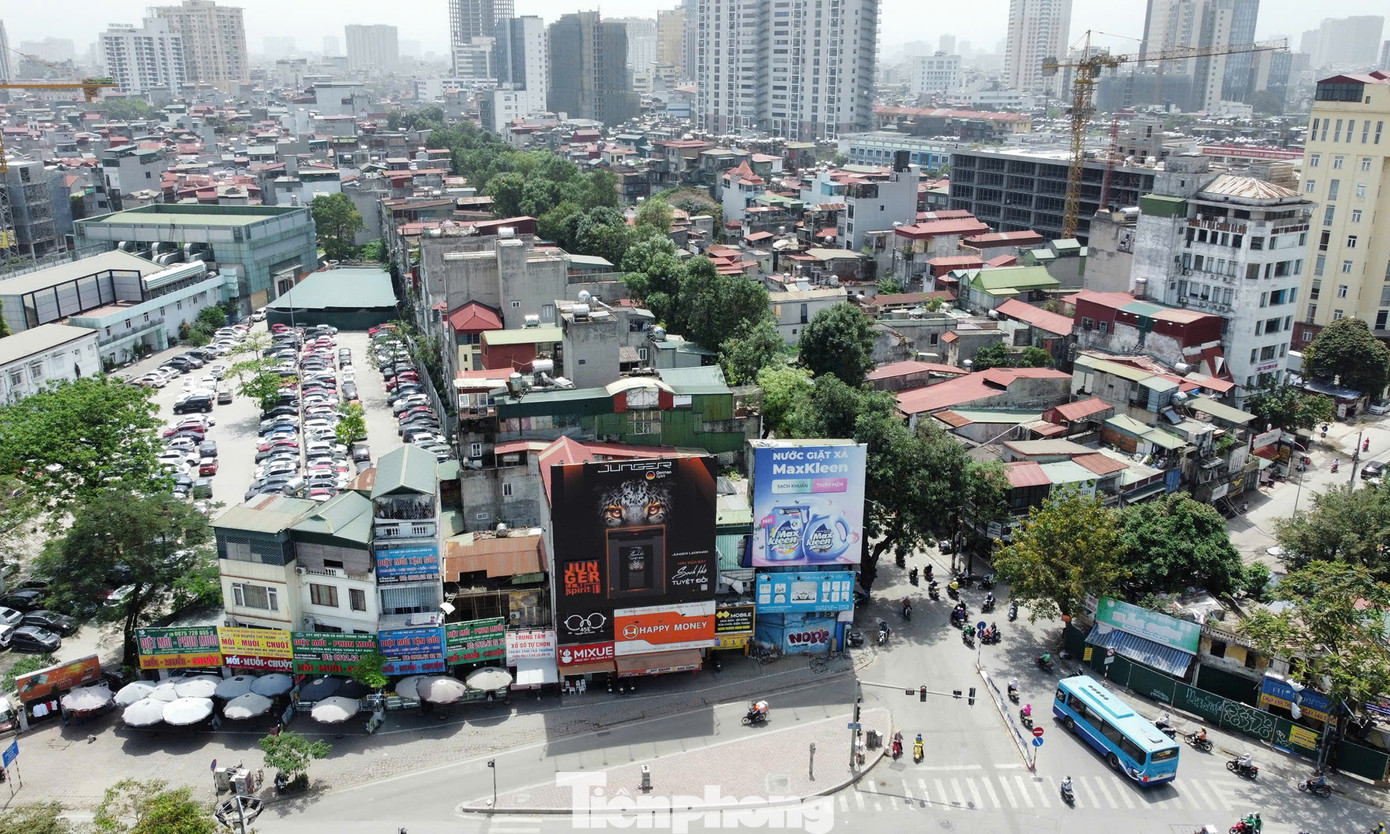 Trong đó có 57 cây trên địa bàn quận Đống Đa và 300 cây nằm trên địa bàn quận Ba Đình.