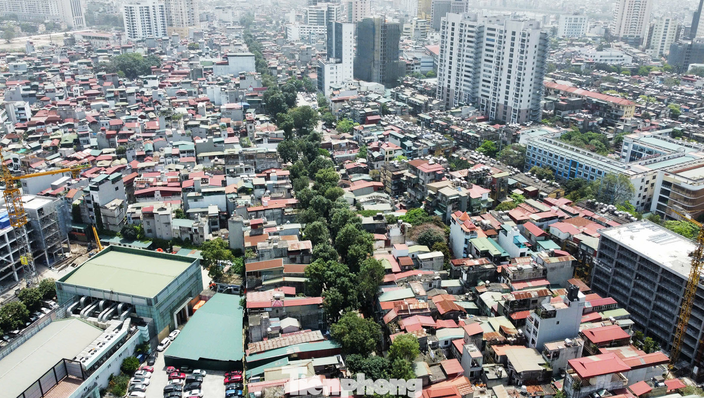Đại diện Ban Quản lý dự án đầu tư xây dựng công trình dân dụng thành phố Hà Nội (BQLDA) cho biết, để thực hiện dự án đường Vành đai 1 đoạn Hoàng Cầu - Voi Phục, chủ đầu tư sẽ thực hiện di chuyển, chặt hạ tổng số 357 cây xanh.