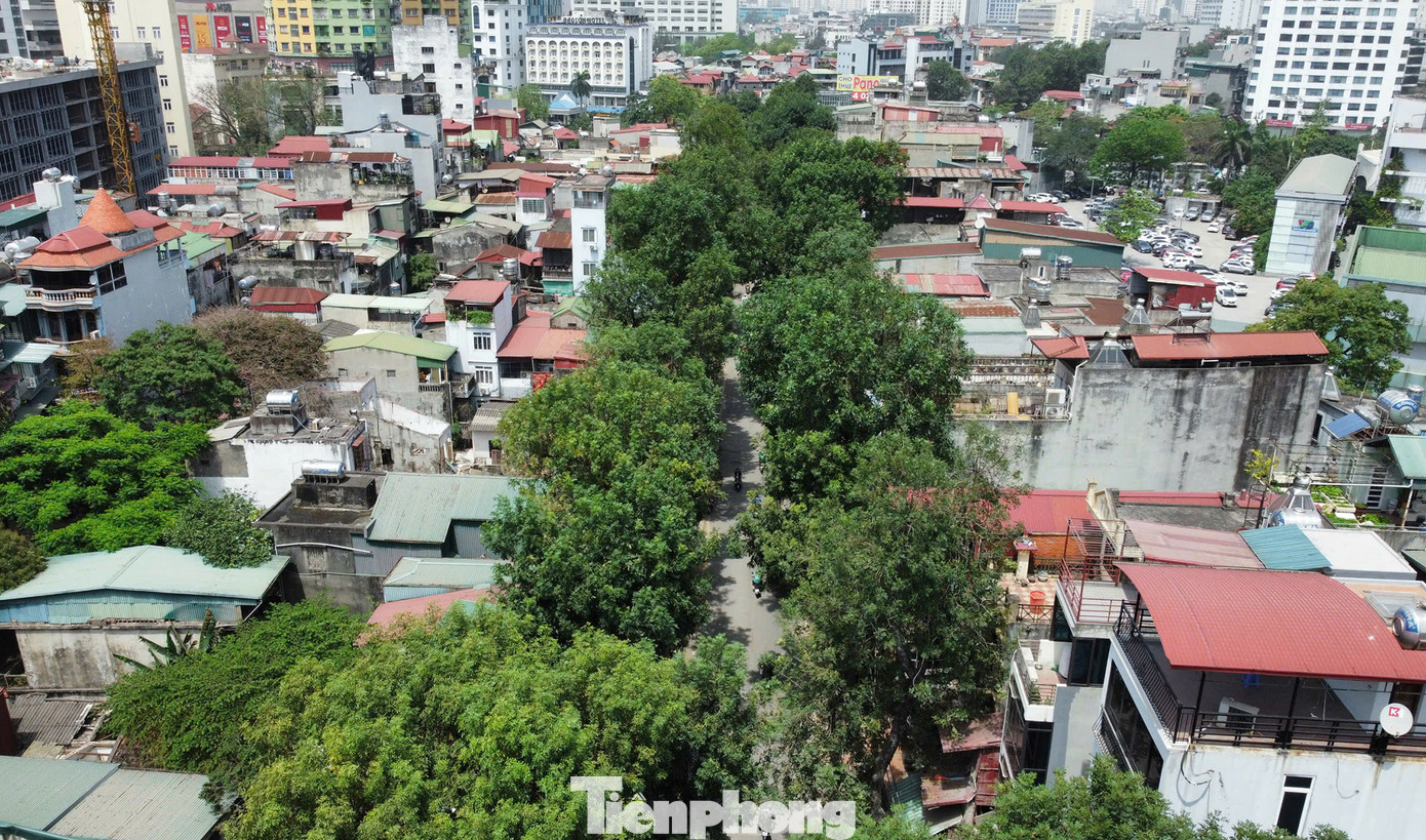 Dự án đường Vành đai 1 đoạn Hoàng Cầu - Voi Phục có điểm đầu tuyến đường tại nút giao Ô Chợ Dừa (quận Đống Đa) và điểm cuối tại nút giao thông Voi Phục (quận Ba Đình), với tổng chiều dài hơn 2,2km, giao với nhiều tuyến đường như Cát Linh - La Thành - Láng Hạ - Giảng Võ - Nguyễn Chí Thanh.