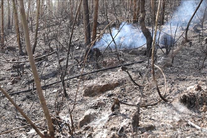 Hiện trường phần thực bì cháy đen, đám khói và lửa nhỏ vẫn còn âm ỉ. Ảnh: TTXVN Hiện trường phần thực bì cháy đen, đám khói và lửa nhỏ vẫn còn âm ỉ. Ảnh: TTXVN