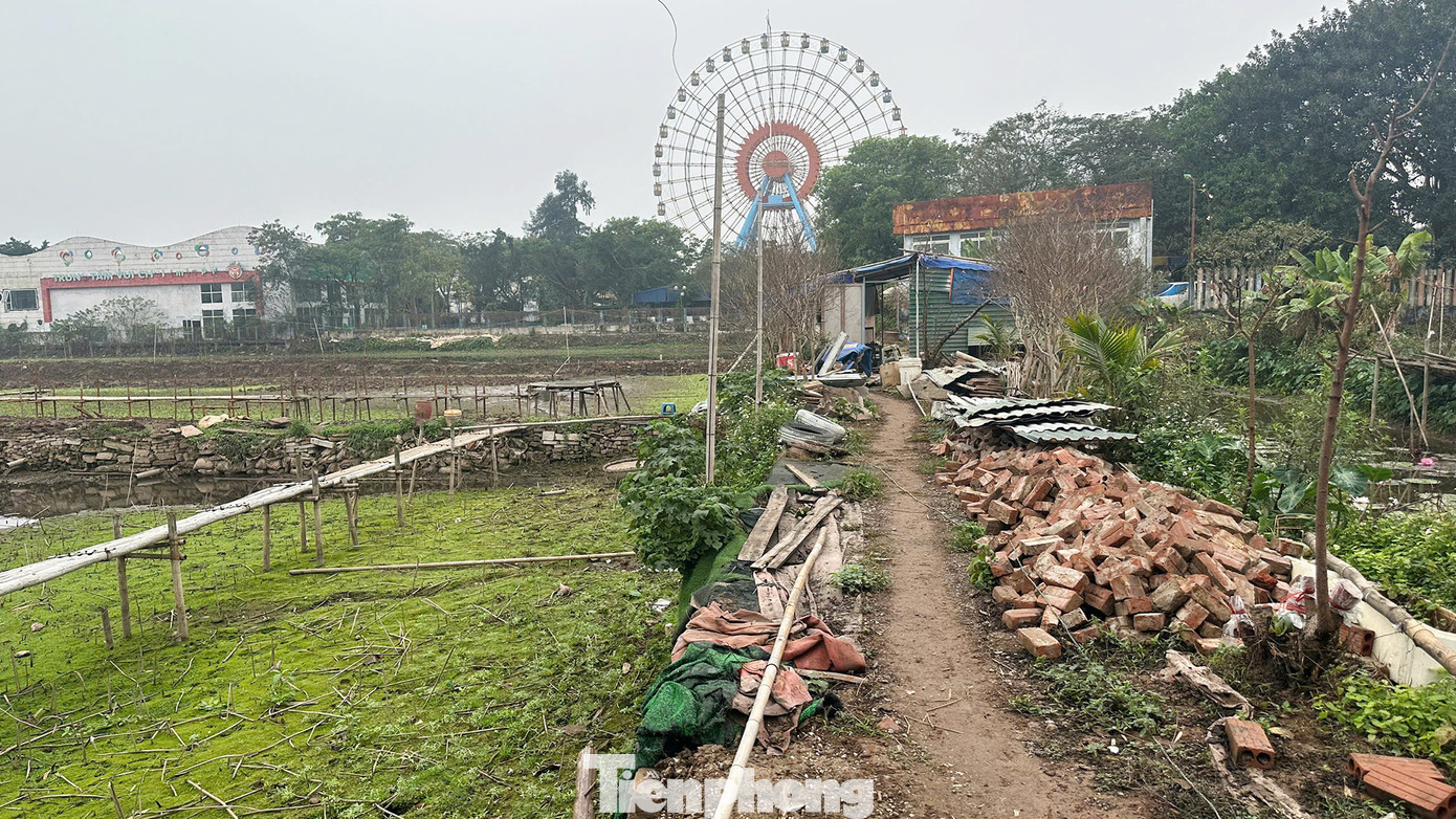 Đại diện UBND phường Nhật Tân cho biết, thông thường thời điểm này hồ Sen được rút cạn nước, đến tháng sau sẽ bơm lại để sen nở. Đại diện UBND phường Nhật Tân cho biết, thông thường thời điểm này hồ Sen được rút cạn nước, đến tháng sau sẽ bơm lại để sen nở.