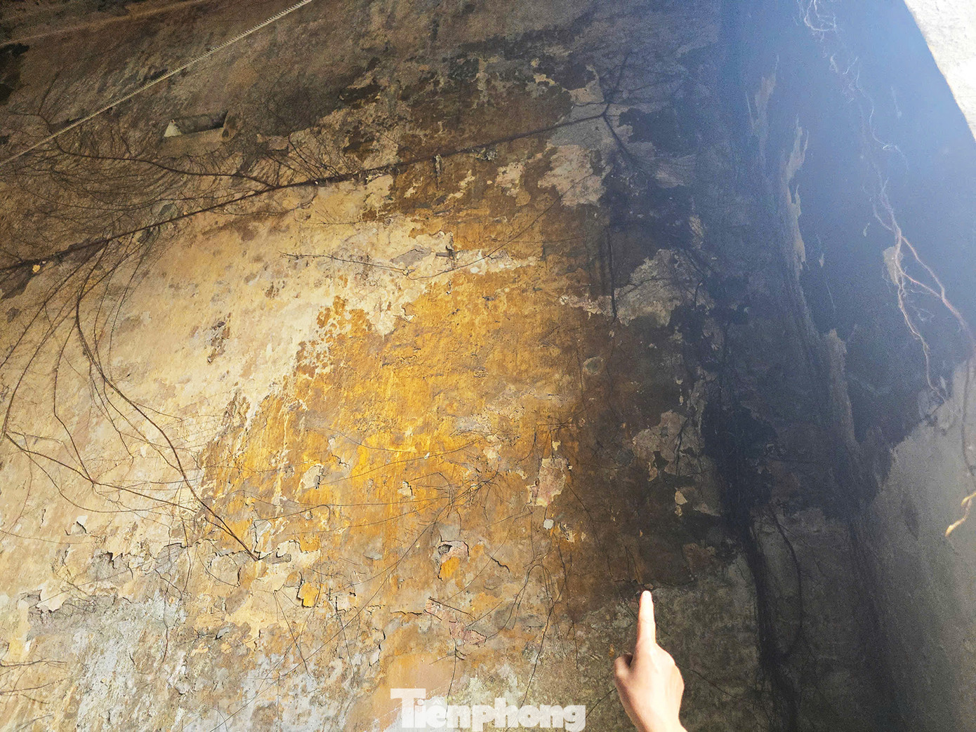 Đối diện chung cư N3 Nguyễn Công Trứ là 2 nhà chung cư cũ xuống cấp là nhà B1, B2. Trên tầng 3, tầng 4, rễ cây mọc xuyên qua lớp tường. Mỗi khi mưa, nước dột từ tầng 4 xuống nhà tầng 3. Đối diện chung cư N3 Nguyễn Công Trứ là 2 nhà chung cư cũ xuống cấp là nhà B1, B2. Trên tầng 3, tầng 4, rễ cây mọc xuyên qua lớp tường. Mỗi khi mưa, nước dột từ tầng 4 xuống nhà tầng 3.