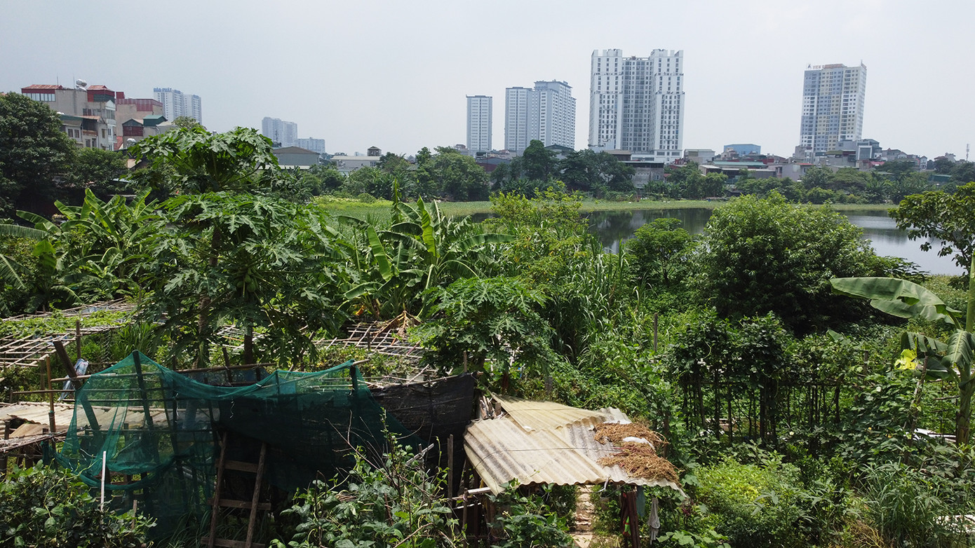 Có thể thấy sau nhiều chỉ đạo của lãnh đạo thành phố Hà Nội, việc lấn chiếm hồ tại các hồ lớn ở trên địa bàn phường Định Công không giảm mà còn có chiều hướng tăng lên. Có thể thấy sau nhiều chỉ đạo của lãnh đạo thành phố Hà Nội, việc lấn chiếm hồ tại các hồ lớn ở trên địa bàn phường Định Công không giảm mà còn có chiều hướng tăng lên.