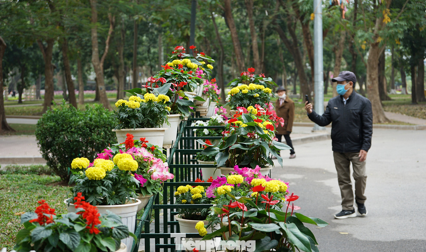 Đây là các điểm nhấn để người dân đến chụp ảnh, check-in trong những ngày đầu năm Đây là các điểm nhấn để người dân đến chụp ảnh, check-in trong những ngày đầu năm