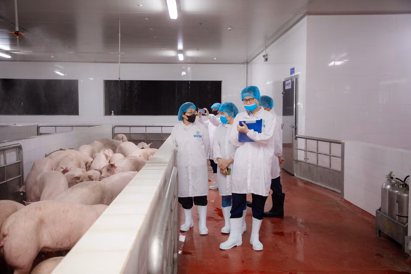 Đoàn kiểm tra tại khu vực nuôi nhốt