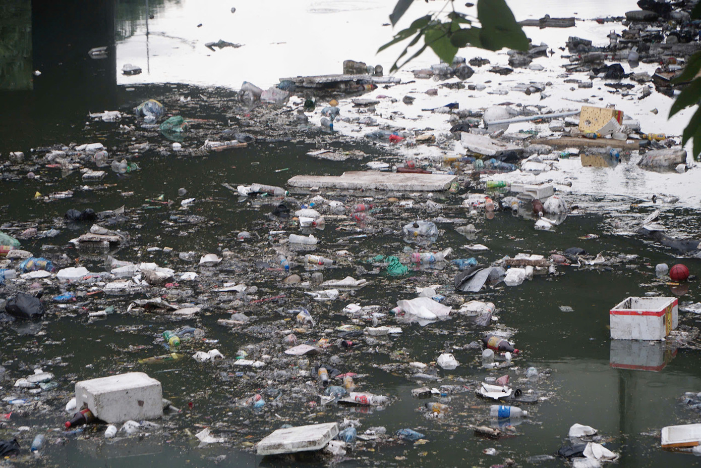 Trung bình mỗi ngày, sông Tô Lịch phải tiếp nhận khoảng 160.000m3 nước thải sinh hoạt