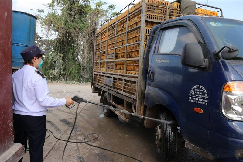 Ảnh minh họa Ảnh minh họa