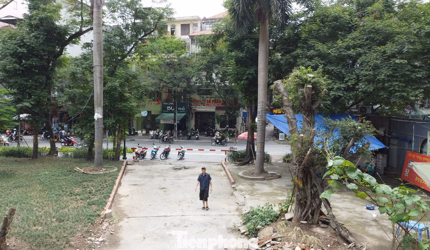 Theo quận Hai Bà Trưng, với vị trí đắc địa trên phố Võ Thị Sáu và hiện trạng tượng đài cùng tên, quận đề xuất đổi tên công viên thành Công viên Võ Thị Sáu. Theo quận Hai Bà Trưng, với vị trí đắc địa trên phố Võ Thị Sáu và hiện trạng tượng đài cùng tên, quận đề xuất đổi tên công viên thành Công viên Võ Thị Sáu.