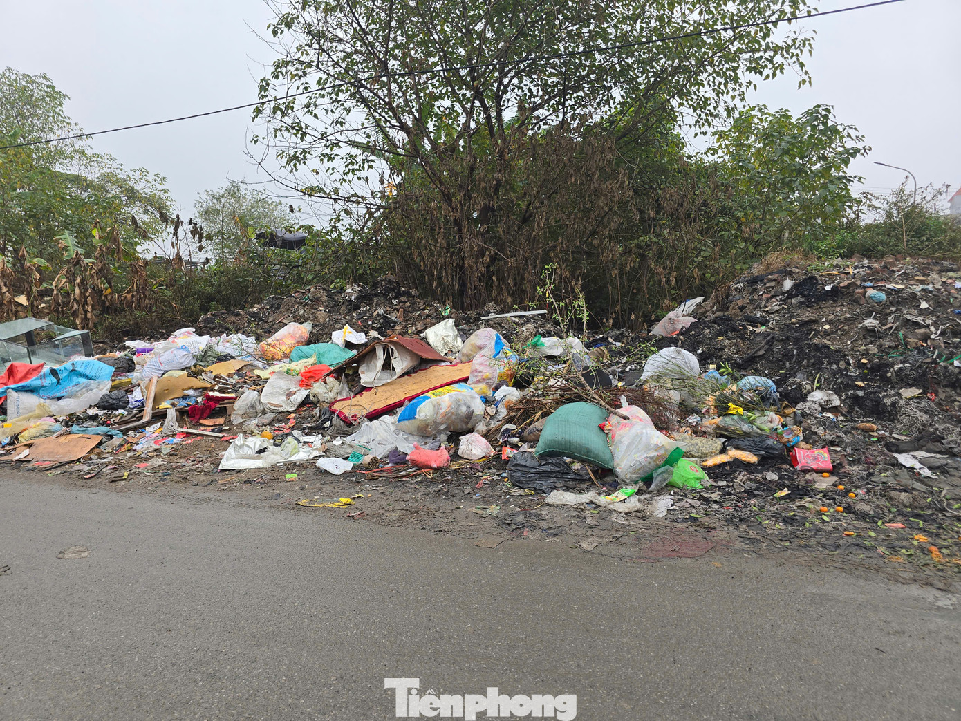 Không chỉ tồn tại bãi rác ở trục đường chính, các tuyến đường nhánh cũng bị rác thải "bủa vây", gây ô nhiễm môi trường