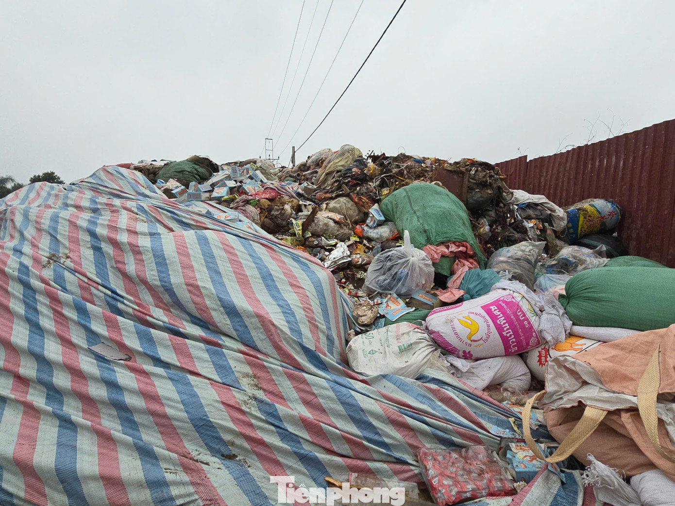 Trao đổi với PV Tiền Phong, đại diện UBND xã La Phù cho biết, do là thực phẩm nên xã đã phải thuê đơn vị chuyên biệt là Công ty cổ phần Môi trường đô thị và công nghiệp 10 (Urenco 10) để thu gom và xử lý