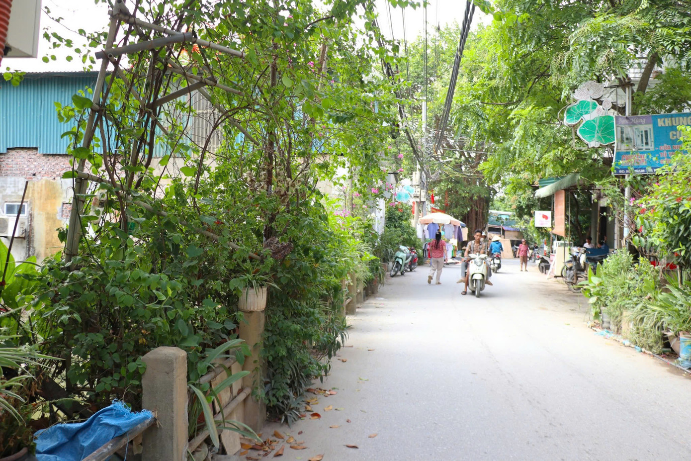 Con đường dân sinh chạy song song với đường quy hoạch và cách đường quy hoạch khoảng gần 7m