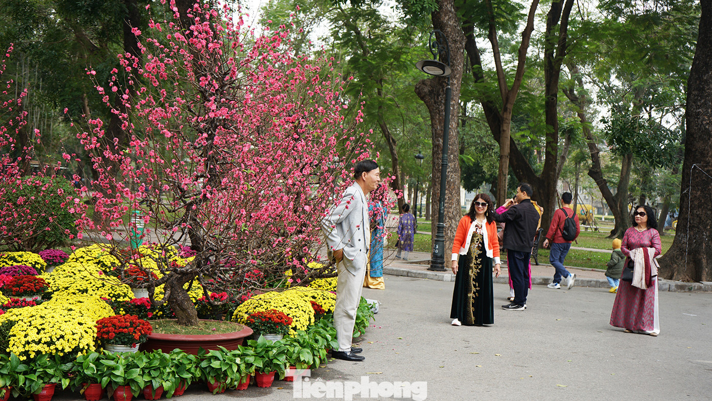 Nhân dịp năm mới, công viên đã bố trí hàng loạt cây cổ truyền mang không khí Tết như: Cây đào, violet, hoa hồng... Các loại cây được bố trí tại 3 cụm điểm: Tượng bác Hồ, bác Tôn; hè phố Trần Nhân Tông và đoạn đường Đại Cồ Việt Nhân dịp năm mới, công viên đã bố trí hàng loạt cây cổ truyền mang không khí Tết như: Cây đào, violet, hoa hồng... Các loại cây được bố trí tại 3 cụm điểm: Tượng bác Hồ, bác Tôn; hè phố Trần Nhân Tông và đoạn đường Đại Cồ Việt