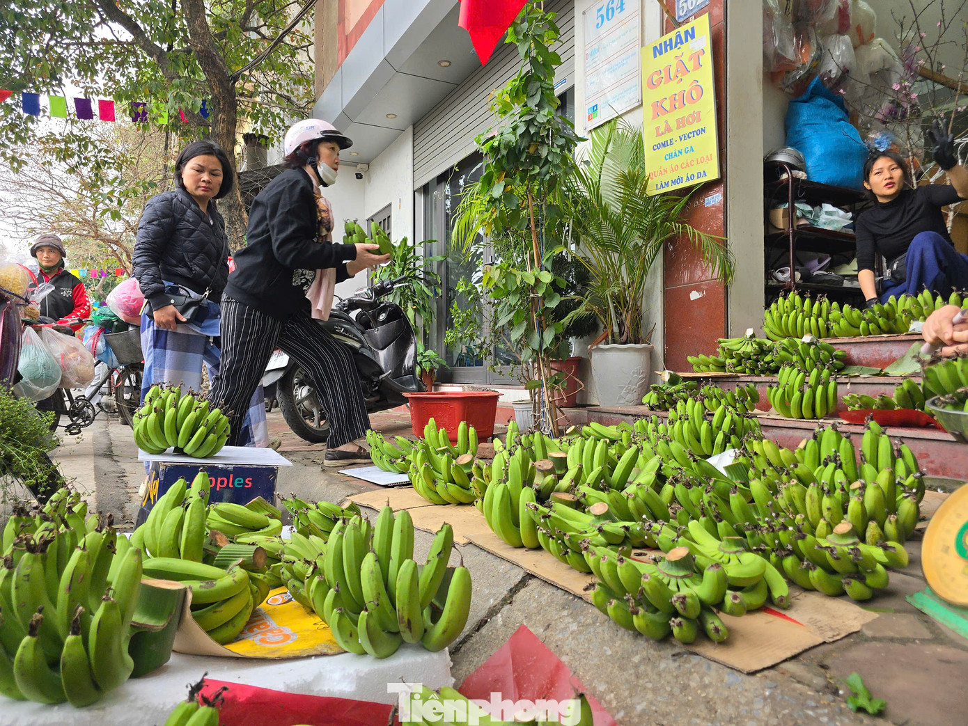Giá chuối nải năm nay tăng đột biến, cao gấp nhiều lần năm trước khiến không ít người mua bất ngờ