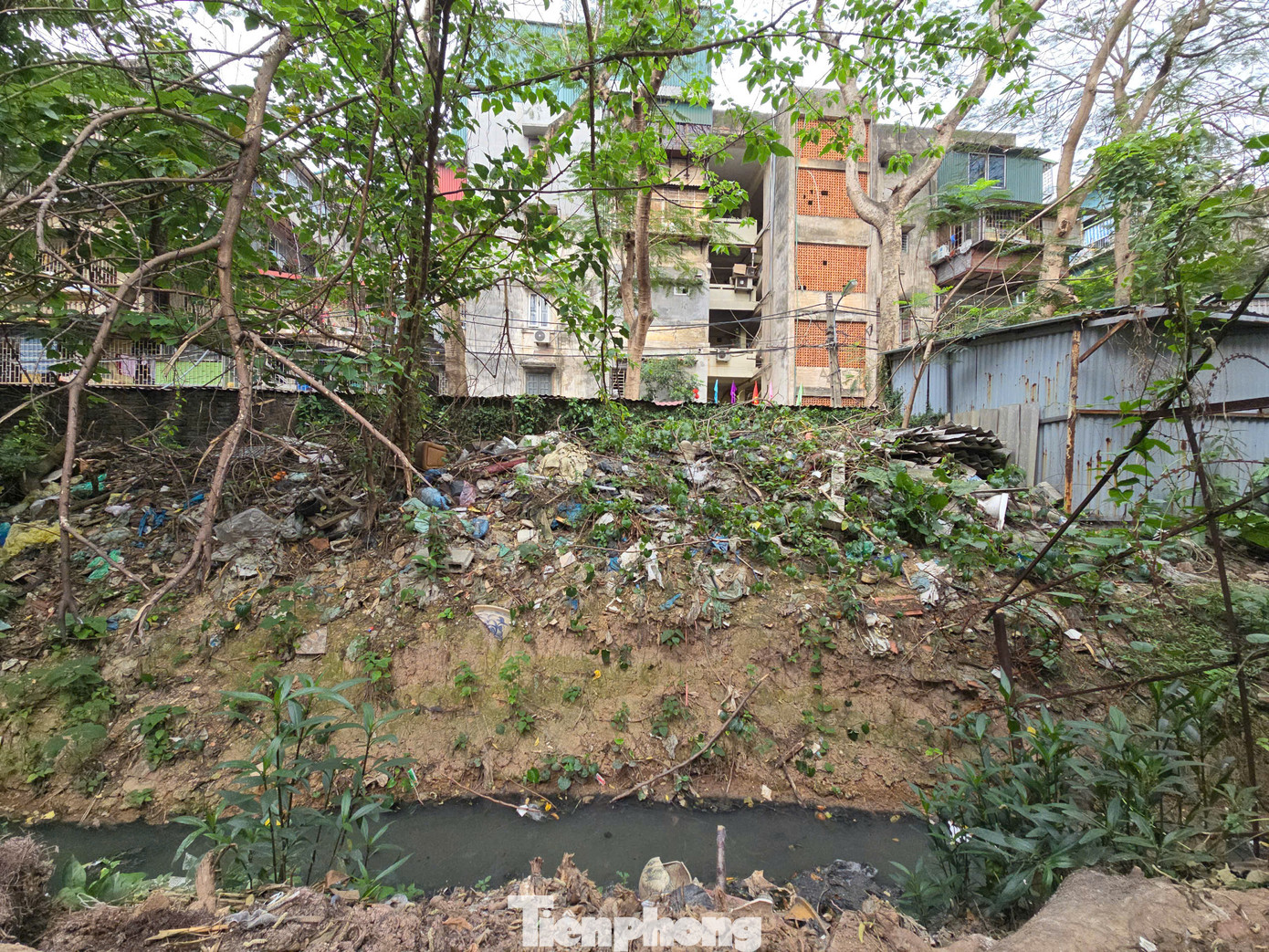 Đại diện Công ty thoát nước Hà Nội cho biết thêm, đơn vị chỉ quản lý việc khơi thông dòng kênh, chống úng ngập cho khu vực