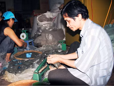 Anh Hòa giúp vợ đóng gói chè Thái Nguyên