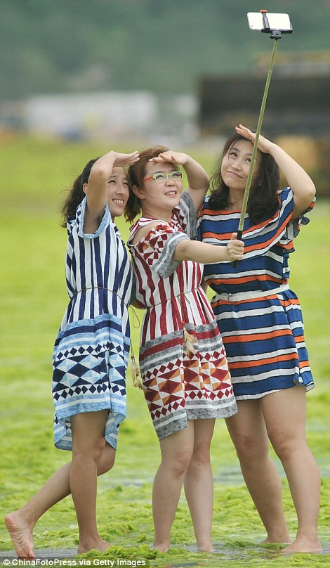 Vô tư bơi lội giữa ‘biển’ tảo bốc mùi ảnh 8