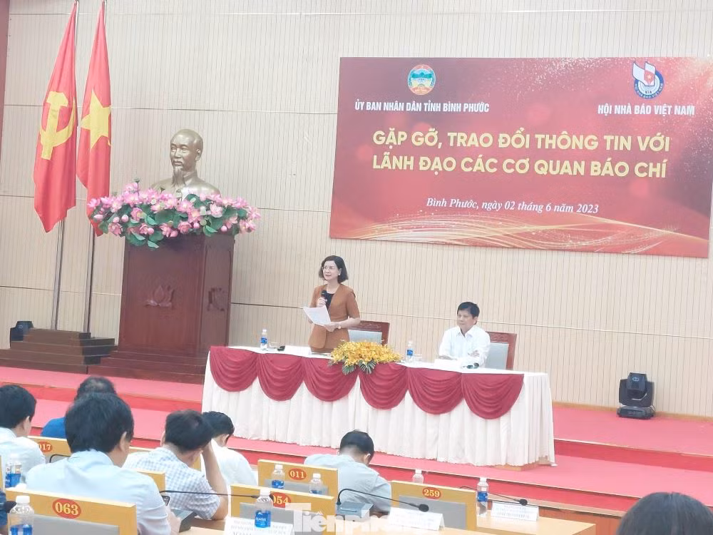 Phó Chủ tịch UBND tỉnh Bình Phước Trần Tuyết Minh thông tin tại hội nghị.