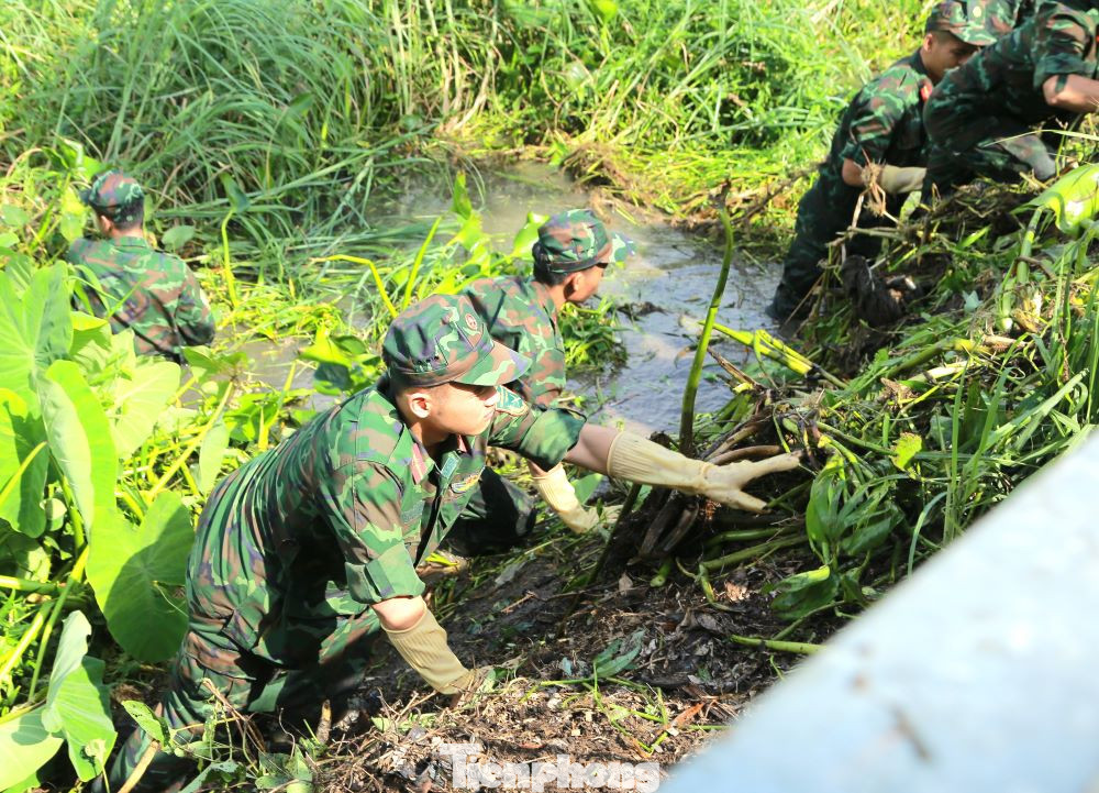 Các học viên trường Sĩ quan Công binh vớt bèo khơi thông dòng chảy dưới kênh.