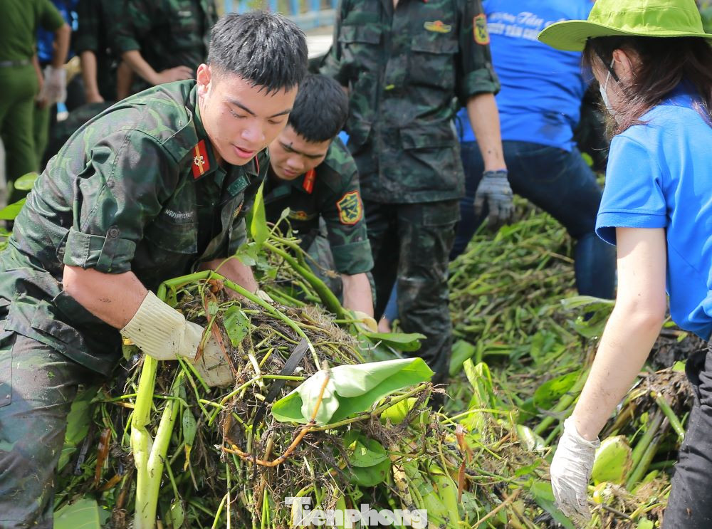 Đoàn viên thanh niên hăng hái làm việc