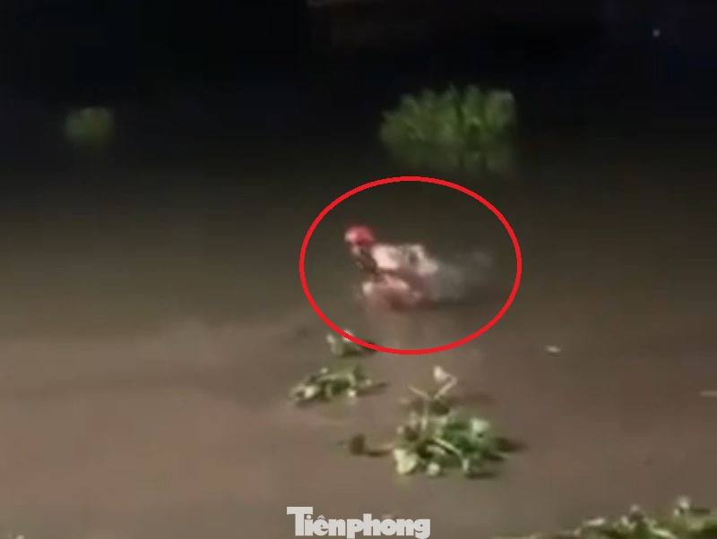 Hình ảnh nạn nhân chới với dưới nước được cứu sống