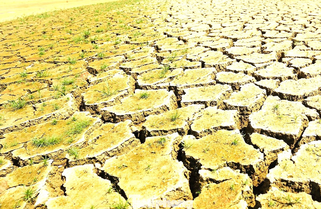 Đáy sông khô cằn, đất nứt vỡ Đáy sông khô cằn, đất nứt vỡ