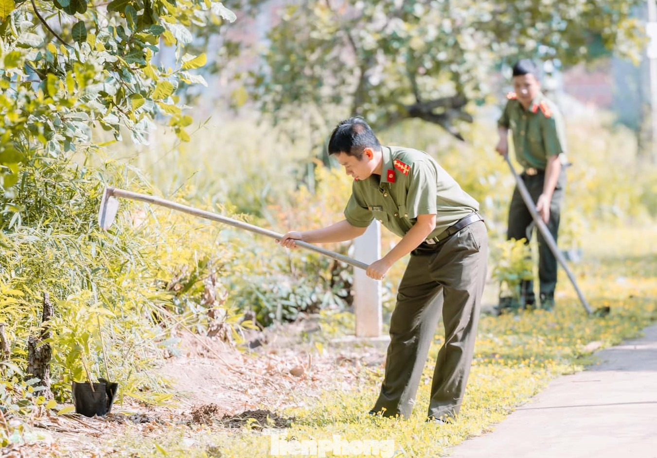 Trong chiến dịch “Thanh niên Công an tình nguyện hè” năm 2023, Công an tỉnh Bình Phước cũng tổ chức chương trình xây dựng mô hình tuyến đường “Sạch – xanh – sáng – đẹp – an toàn” Trong chiến dịch “Thanh niên Công an tình nguyện hè” năm 2023, Công an tỉnh Bình Phước cũng tổ chức chương trình xây dựng mô hình tuyến đường “Sạch – xanh – sáng – đẹp – an toàn”
