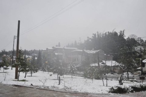 Sapa ngập trong tuyết như châu Âu. Sapa ngập trong tuyết như châu Âu