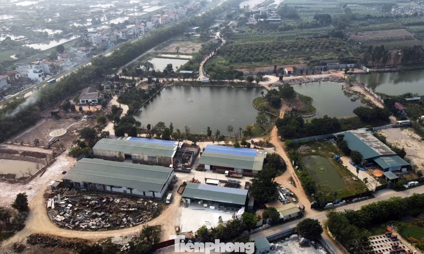 Loạt dự án chuyển đổi cơ cấu sản xuất nông nghiệp thành mô hình kinh tế trang trại, cây xanh đô thị… tại huyện Thanh Trì (Hà Nội) bị chấm dứt hoạt động do có sai phạm về trật tự xây dựng, đất đai. Ảnh minh họa: Đình Phong.