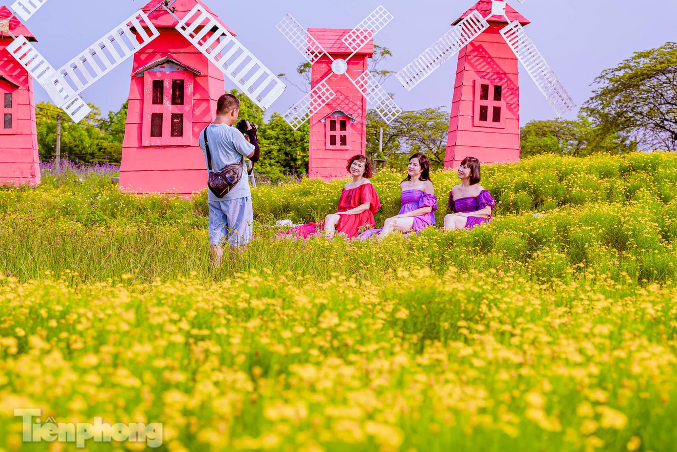 Hàng triệu bông hoa cúc với điểm nhấn là màu vàng rực đã tạo nên một background tuyệt vời để du khách có những bức ảnh ưng ý nhất.