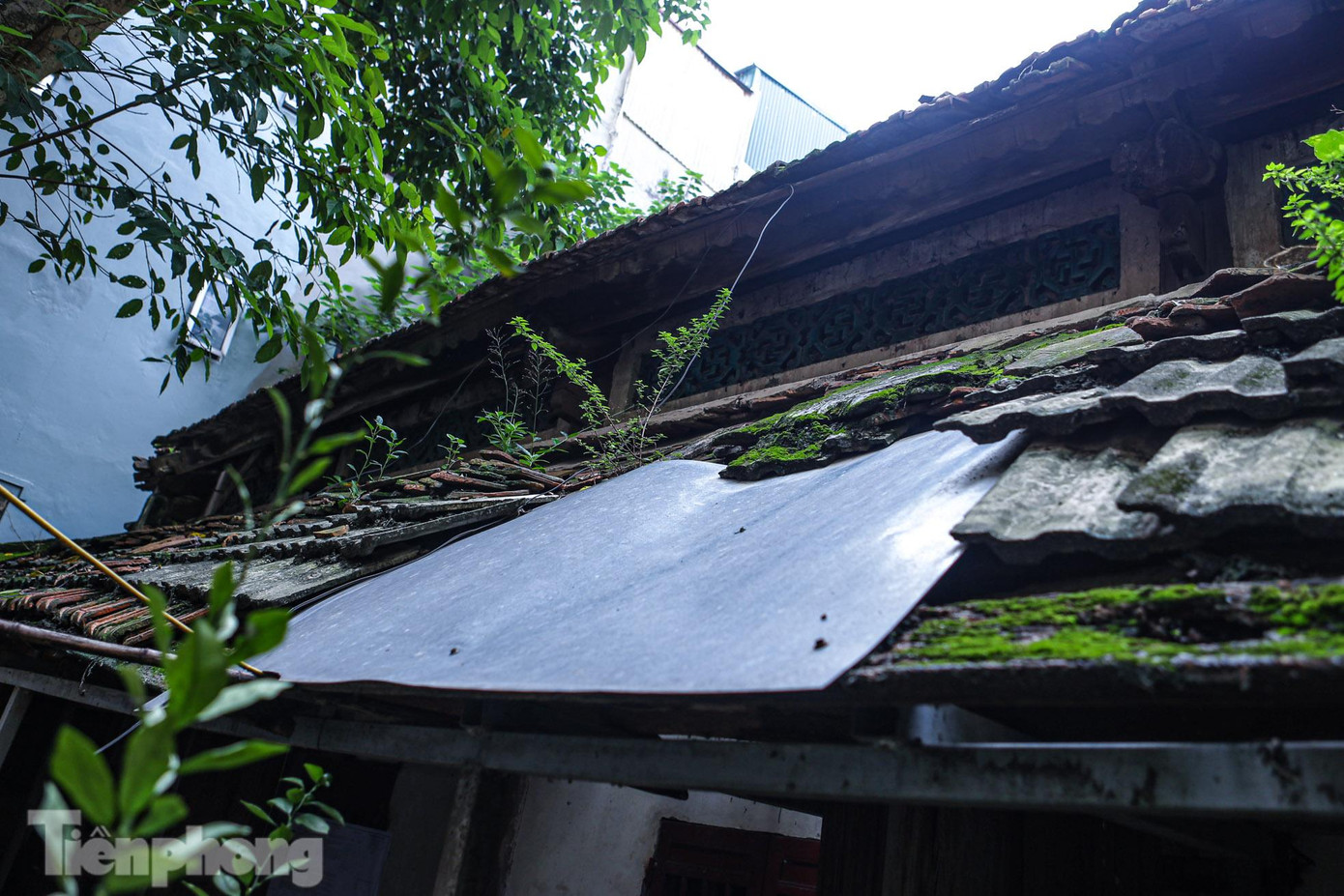 Vào những ngày mưa bão, nước mưa sẽ theo những lỗ này chảy vào đền gây ngập úng, ẩm mốc.