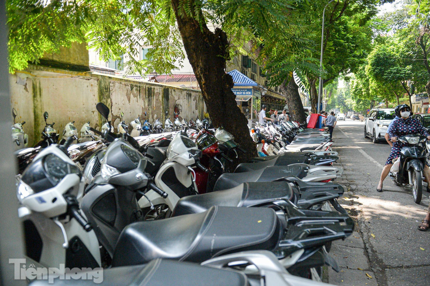 Tổ công tác liên ngành đã kiểm tra các bãi xe nằm trên phố Quán Sứ, dọc phố Phùng Hưng, khu vực Bát Đàn - Đường Thành.