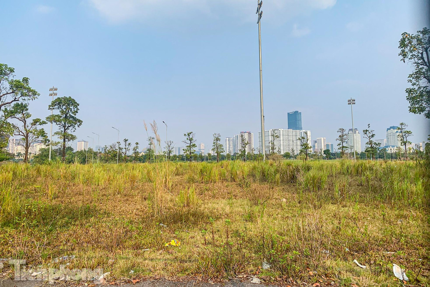 Cỏ mọc um tùm xung quanh đường đua.