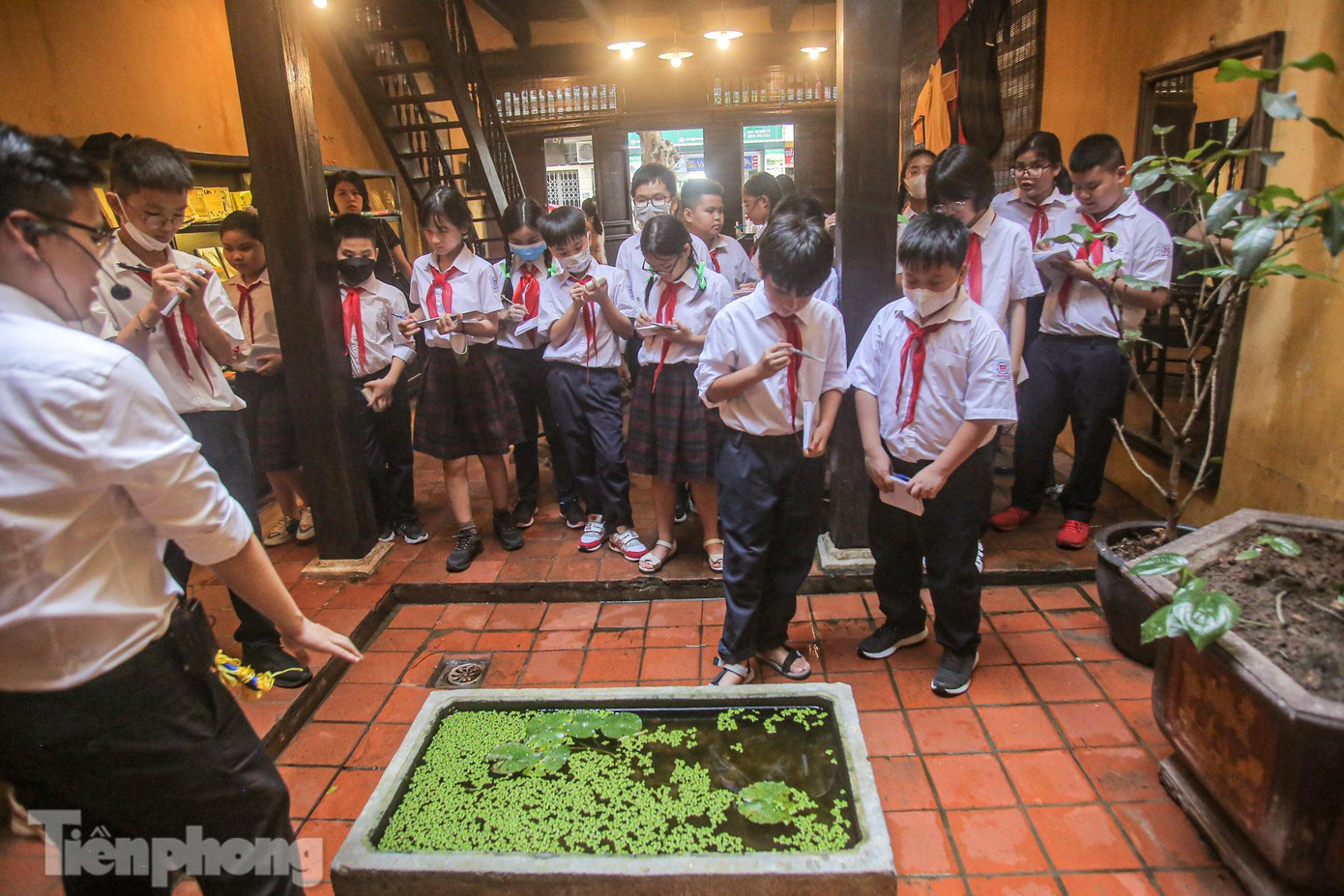 Giữa các lớp nhà có giếng trời tràn ngập ánh sáng và sân bày chậu cảnh tạo cảnh quan môi trường, có cảm giác gần gũi thiên nhiên.