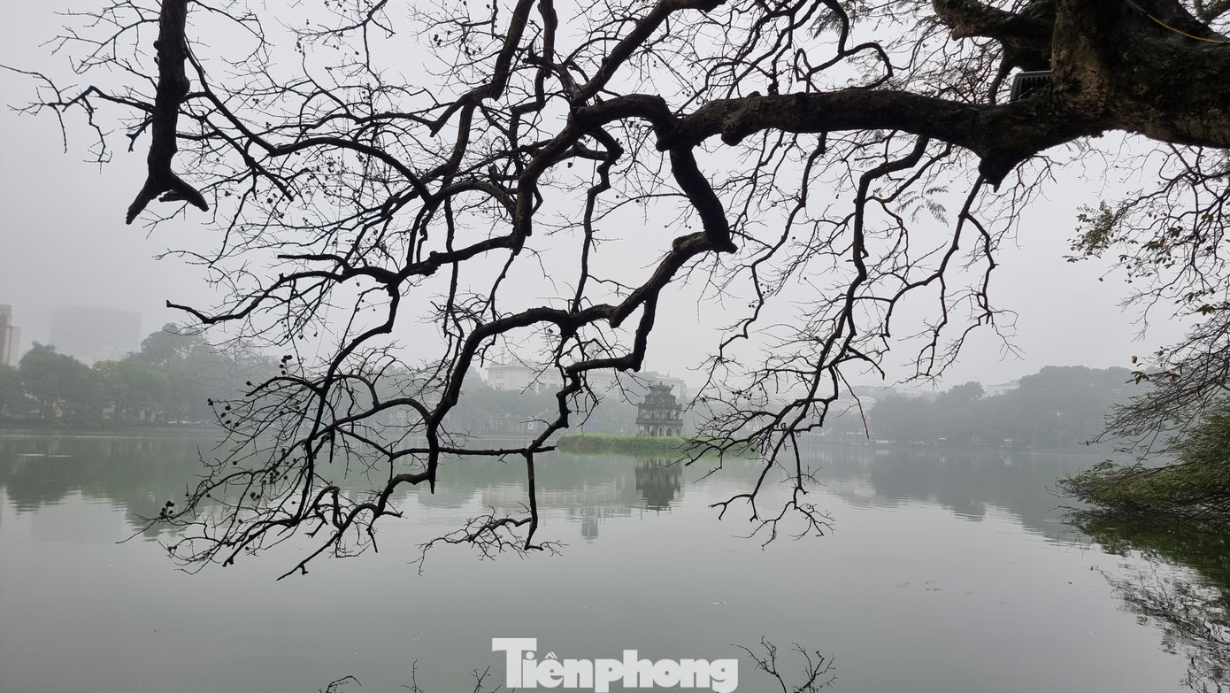 Mưa phùn, mưa bụi, những cành cây khẳng khiu mang lại một vẻ đẹp rất khác cho hồ Gươm. Bên cạnh đó còn tạo cảm hứng từng khuôn hình cho những người thích chụp ảnh về hồ Gươm.