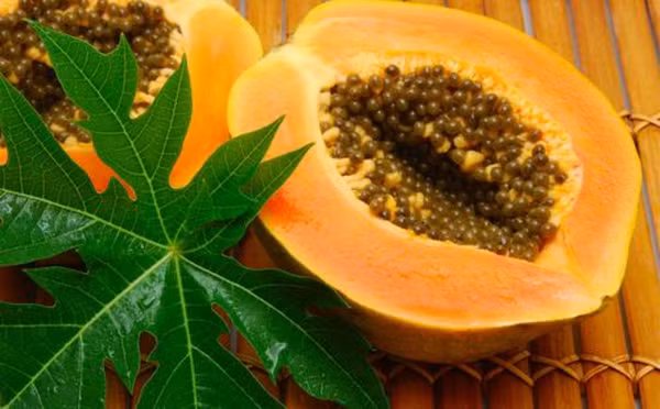 Cách sơ cứu bệnh nhân rối loạn tiền đình cấp ảnh 2