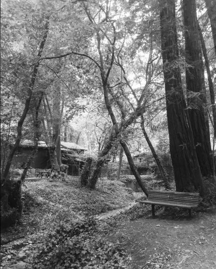 Hé lộ nơi chụp ảnh cưới long lanh của Song Hye Kyo và Song Joong Ki ảnh 3