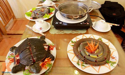 Lẩu rắn và ba ba đồng đang được dân nhậu săn tìm