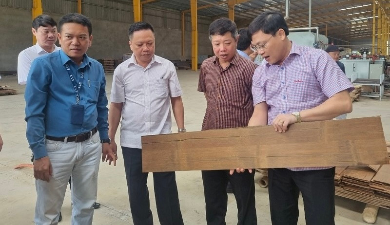 Đoàn giám sát khảo sát thực tế tại Nhà máy ứng dụng công nghệ cao sản xuất tre luồng tại Cụm công nghiệp Bãi Bùi (thị trấn Lang Chánh). Đoàn giám sát khảo sát thực tế tại Nhà máy ứng dụng công nghệ cao sản xuất tre luồng tại Cụm công nghiệp Bãi Bùi (thị trấn Lang Chánh).