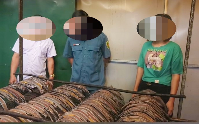 Sơ chế giun đất tại huyện miền núi của tỉnh Thanh Hoá Sơ chế giun đất tại huyện miền núi của tỉnh Thanh Hoá