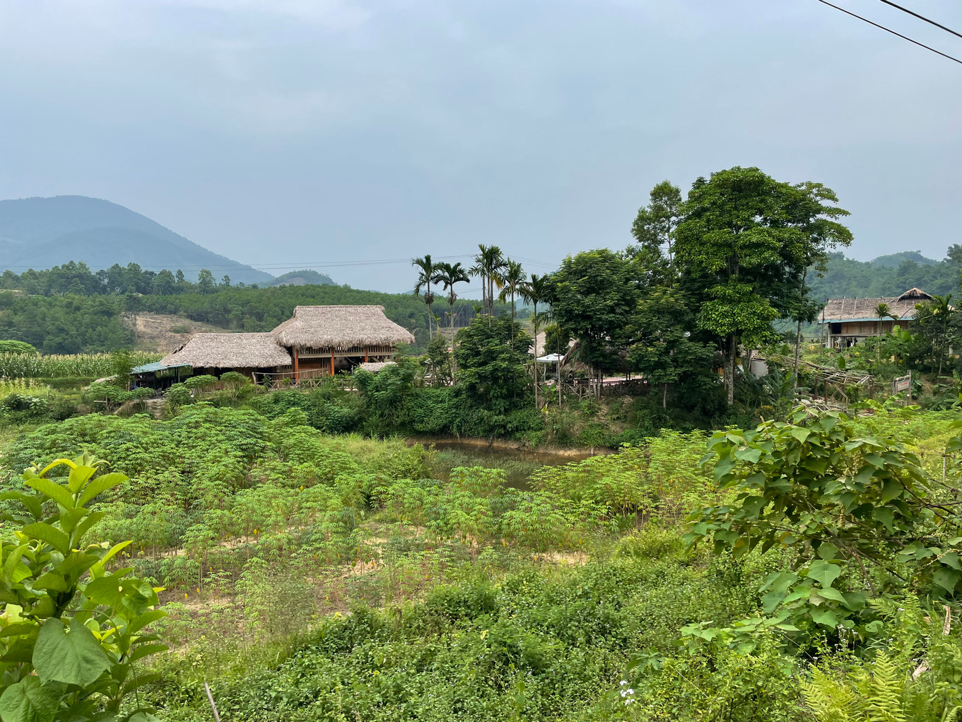 Một góc bản Mạ, thị trấn Thường Xuân, huyện Thường Xuân, tỉnh Thanh Hoá Một góc bản Mạ, thị trấn Thường Xuân, huyện Thường Xuân, tỉnh Thanh Hoá