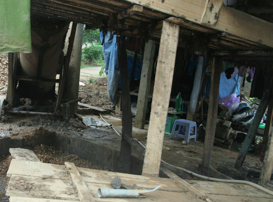 Nơi xay bột dong để làm miến chỉ cách cầu tiêu tự hoại chưa đầy 1m