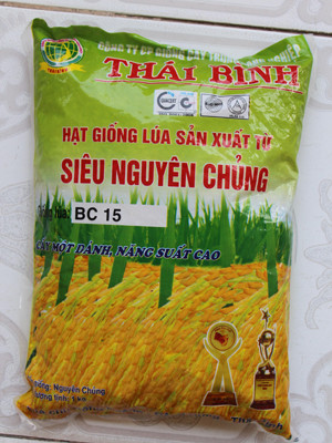 Giống BC 15 giả