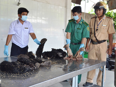  Số tang vật từ xe khách bị cơ quan chức năng bắt giữ. Ảnh: Nguyễn Oanh 