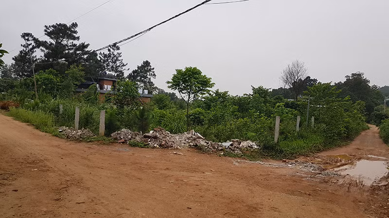 Xử lý vi phạm đất rừng Sóc Sơn: Cưỡng chế kiểu nửa vời? ảnh 9